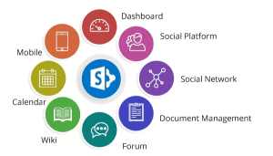 SharePoint for Intranet Portal