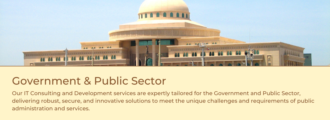 Government and Public Sector